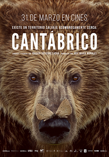 Cantábrico, los dominios del oso pardo
